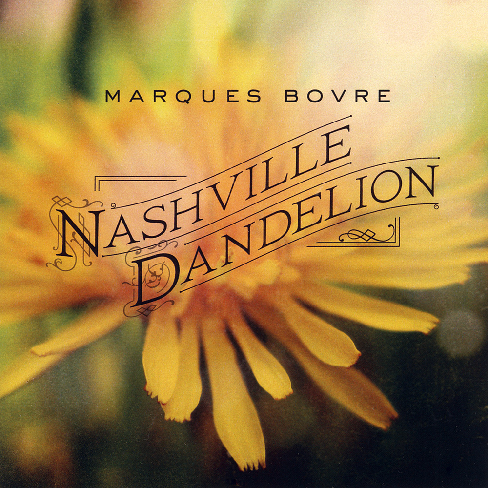 Nashville Dandelion – 2012